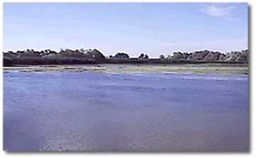 Delta del Danubio